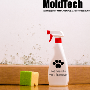 pet friendly mold removal toronto 