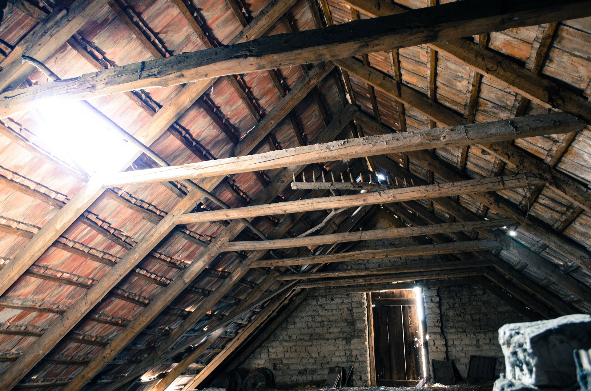 old wooden attic mold removal toronto