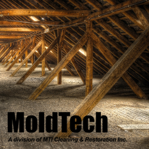 attic mold remediation