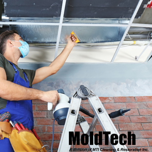 mold remediation toronto