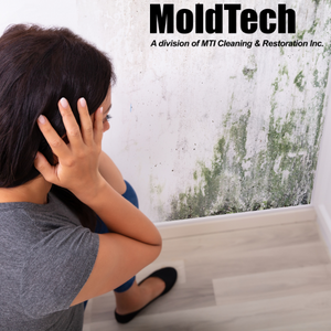 mold remediation toronto