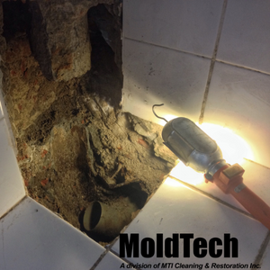 mold inspection services in Toronto