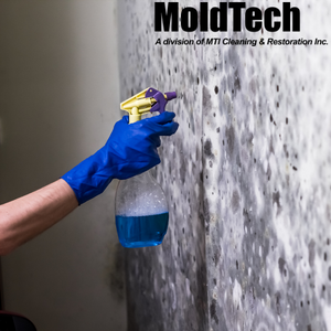 attic mold removal cost toronto