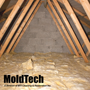 How to Get Rid of Mice in the Attic Insulation - Attic Insulation Toronto