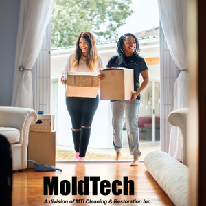 mold removal Toronto