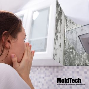How Long Does It Take To Get Sick From Mold Exposure