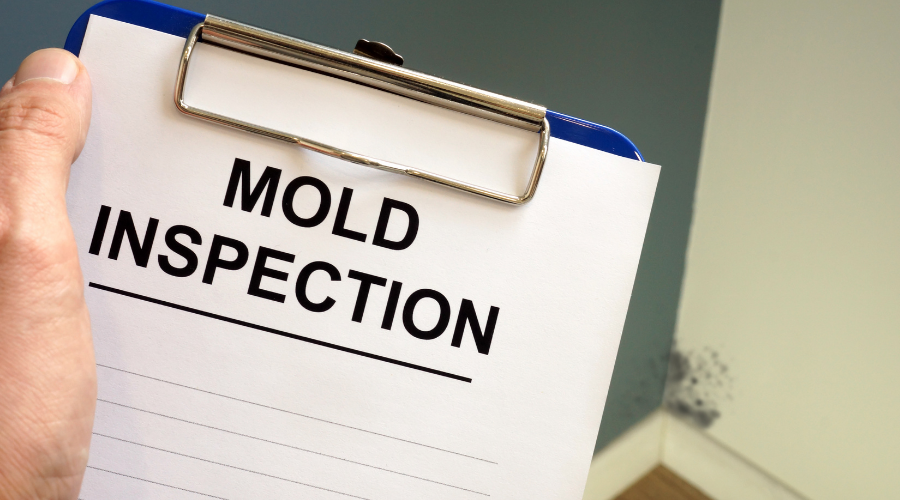 mold testing and inspections