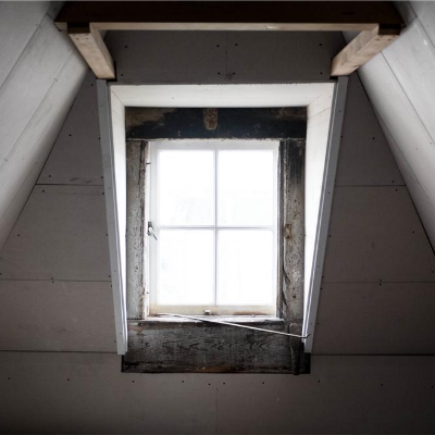 attic mold removal