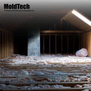 Why Low Ventilation Can Lead to Attic Mold Remediation