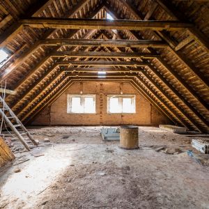 How the Pro’s Safely Remove Attic Mold in Mississauga