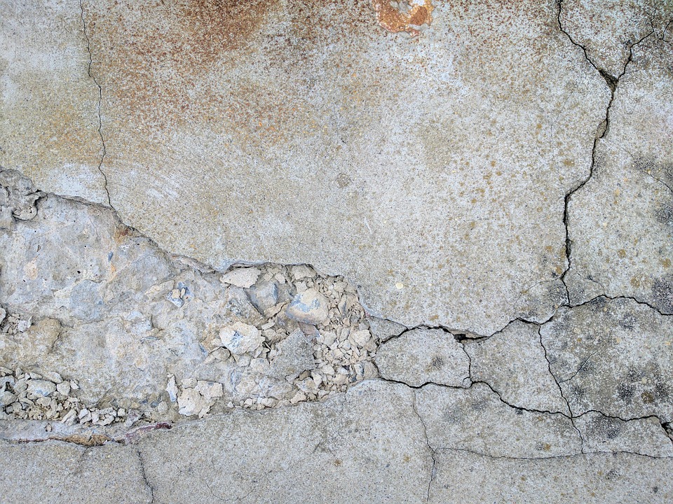 Concrete mold growth in Toronto
