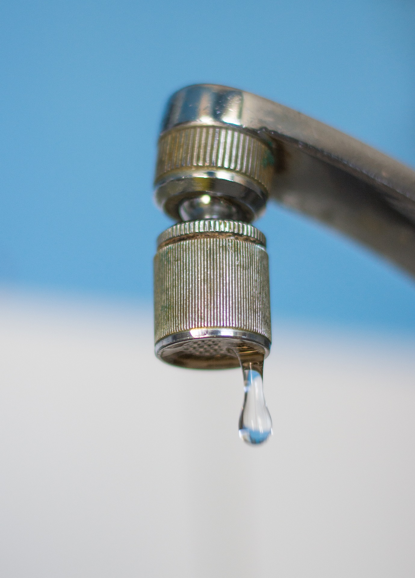 dripping tap causing mold removal toronto