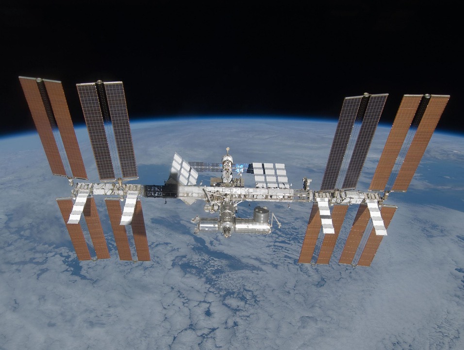 International Space Station - Mold in Space