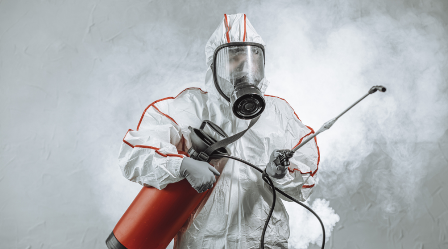 mold remediation toronto